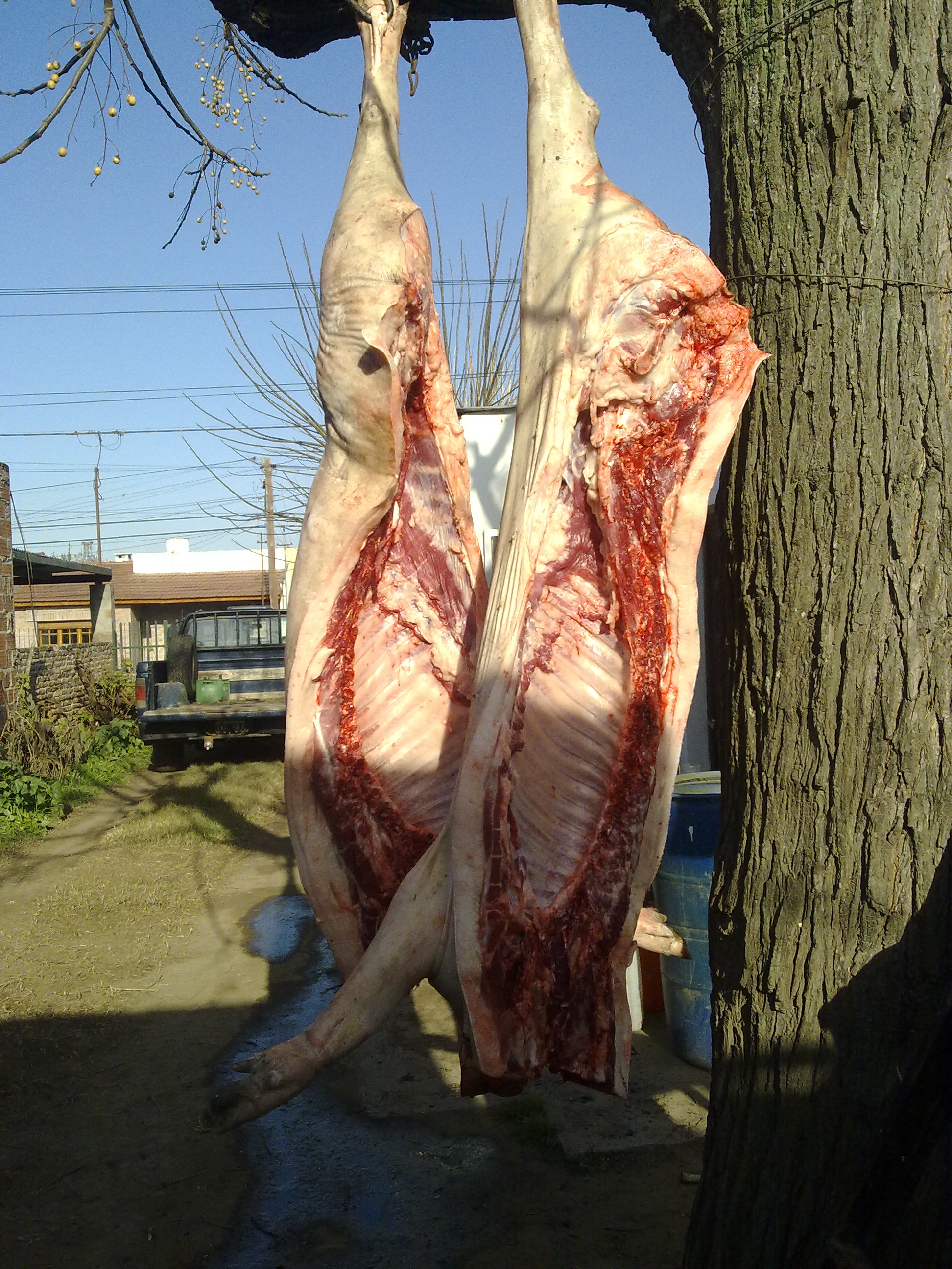 fotos/2010-07-18 - Carneada con nevada/17072010492.jpg